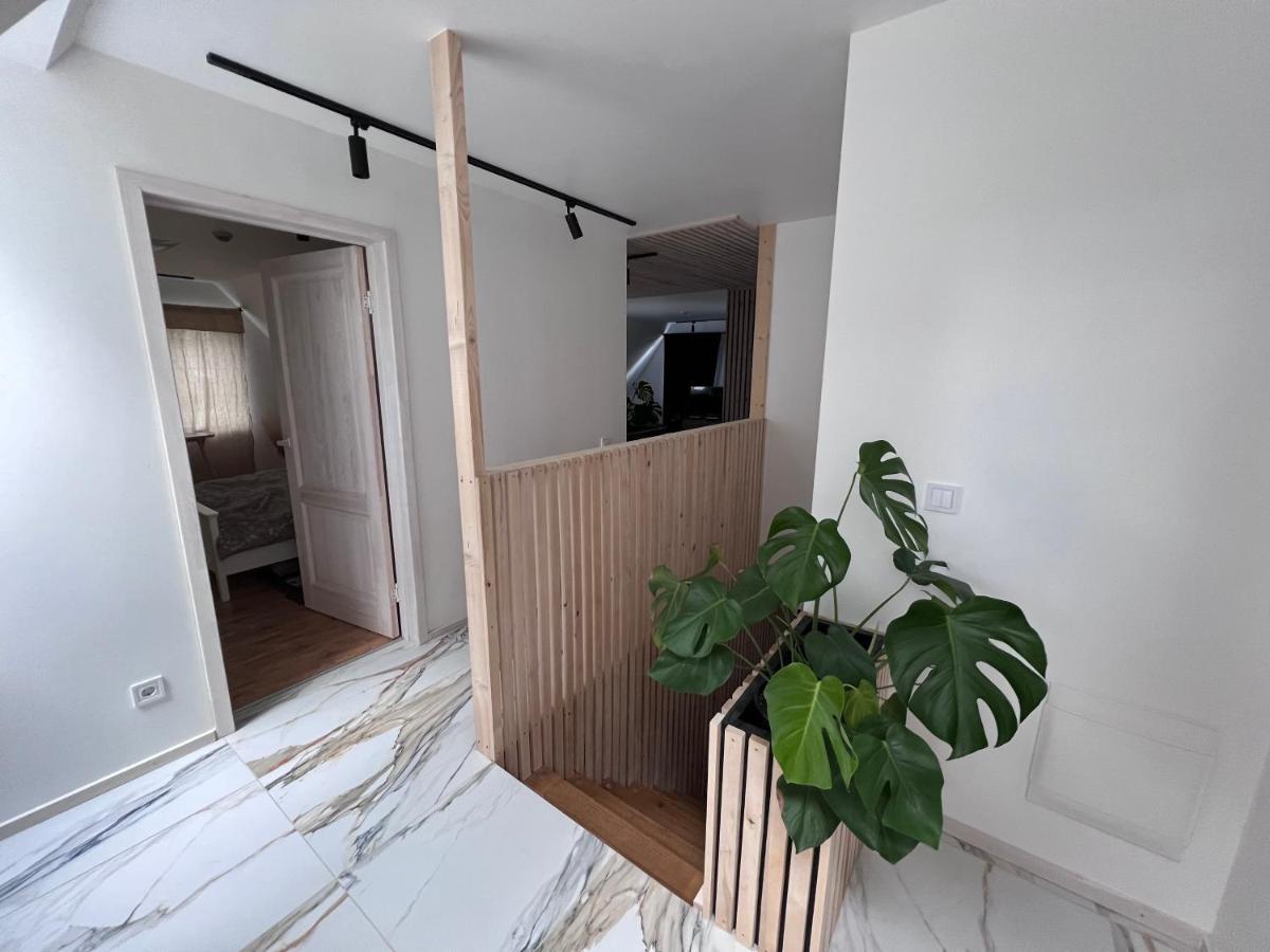 Cozy House Iii